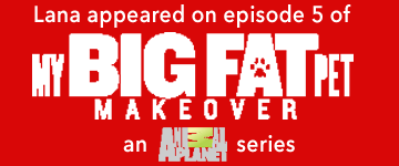 Catsultant on My Big Fat Pet Makeover